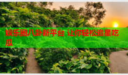 娱乐圈八卦新平台 让你轻松追星吃瓜