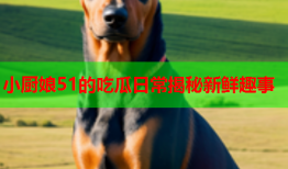 小厨娘51的吃瓜日常揭秘新鲜趣事