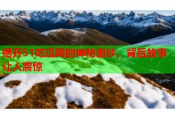 揭开51吃瓜网的神秘面纱，背后故事让人震惊