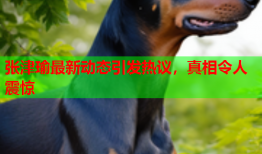 张津瑜最新动态引发热议，真相令人震惊