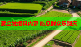 蔡金发爆料内幕 吃瓜群众乐翻天