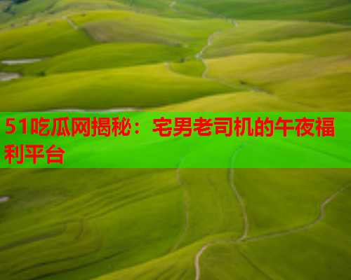51吃瓜网揭秘：宅男老司机的午夜福利平台