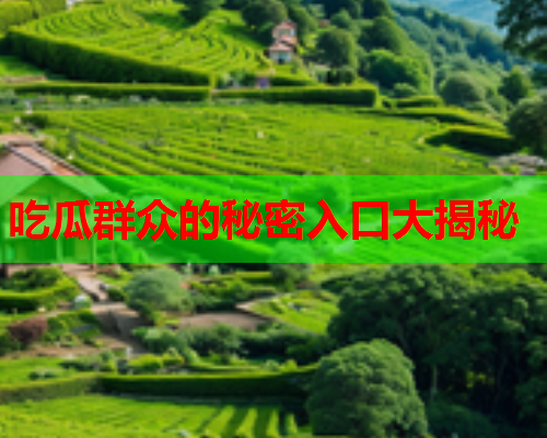 吃瓜群众的秘密入口大揭秘