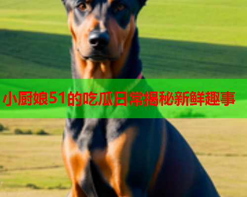 小厨娘51的吃瓜日常揭秘新鲜趣事