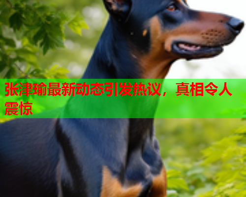 张津瑜最新动态引发热议，真相令人震惊