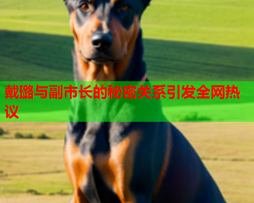 戴璐与副市长的秘密关系引发全网热议