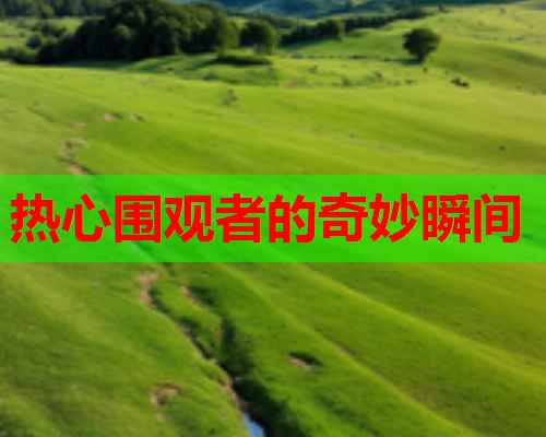 热心围观者的奇妙瞬间
