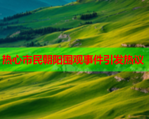 热心市民朝阳围观事件引发热议