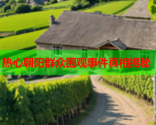 热心朝阳群众围观事件真相揭秘