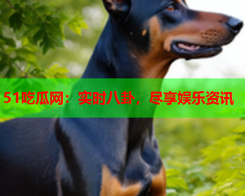 51吃瓜网：实时八卦，尽享娱乐资讯